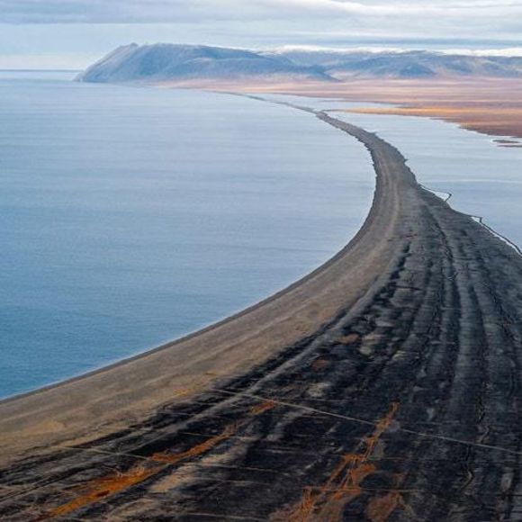 Meet your Posher, Sam - Picture 1 of 1